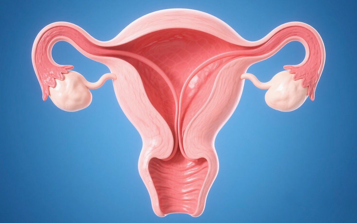 laparoscopic needle holder ethicon for Otolaryngology